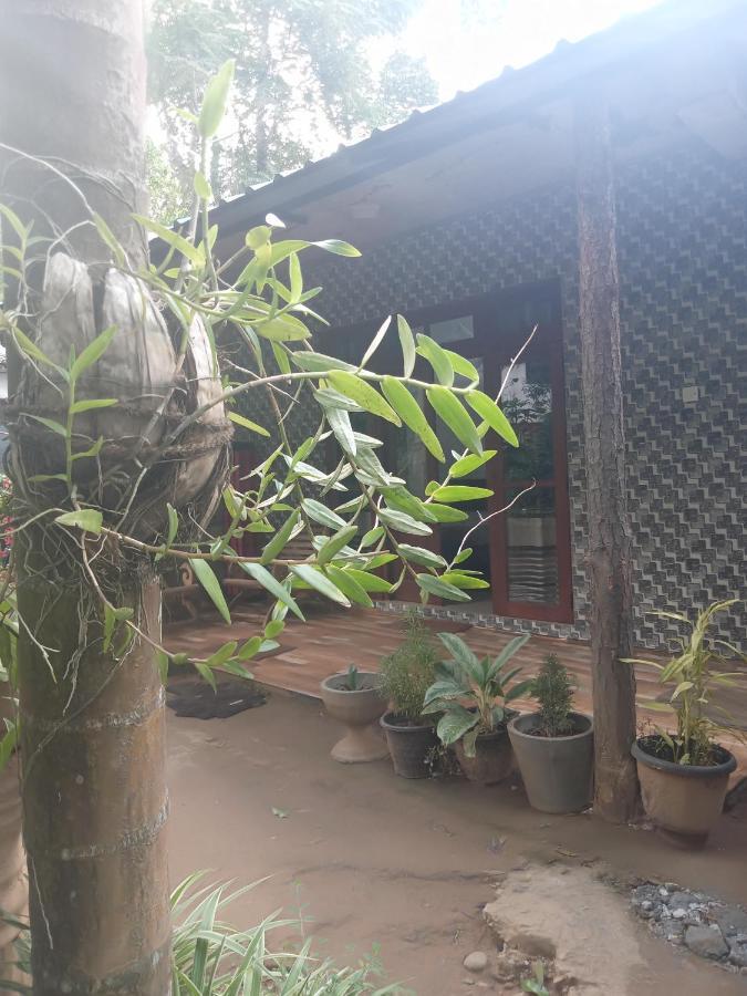 Supipi Homestay Ella Exteriér fotografie