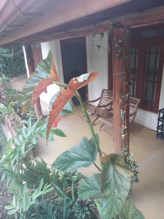 Supipi Homestay Ella Exteriér fotografie