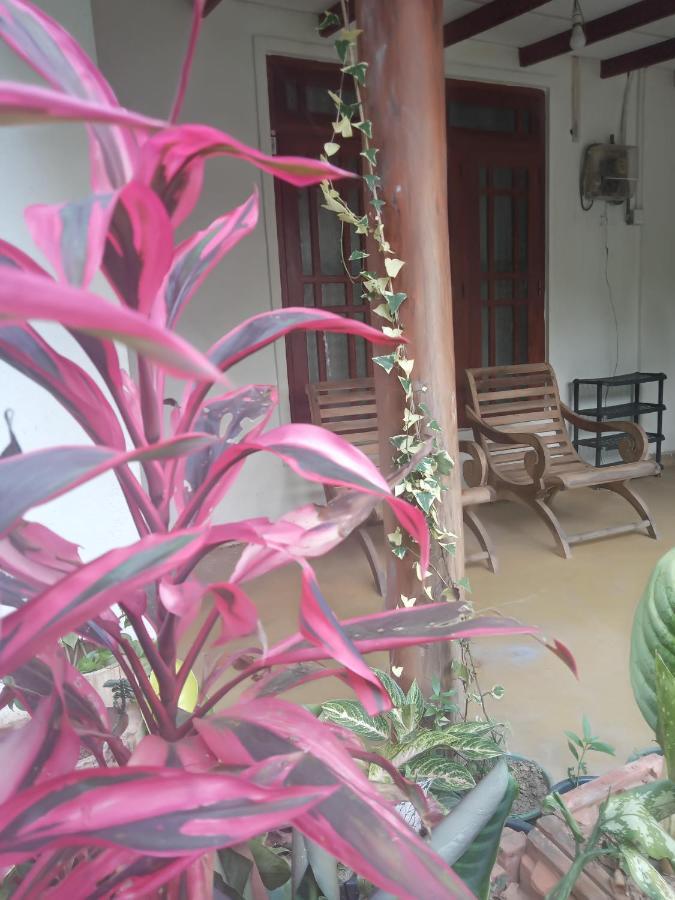 Supipi Homestay Ella Exteriér fotografie