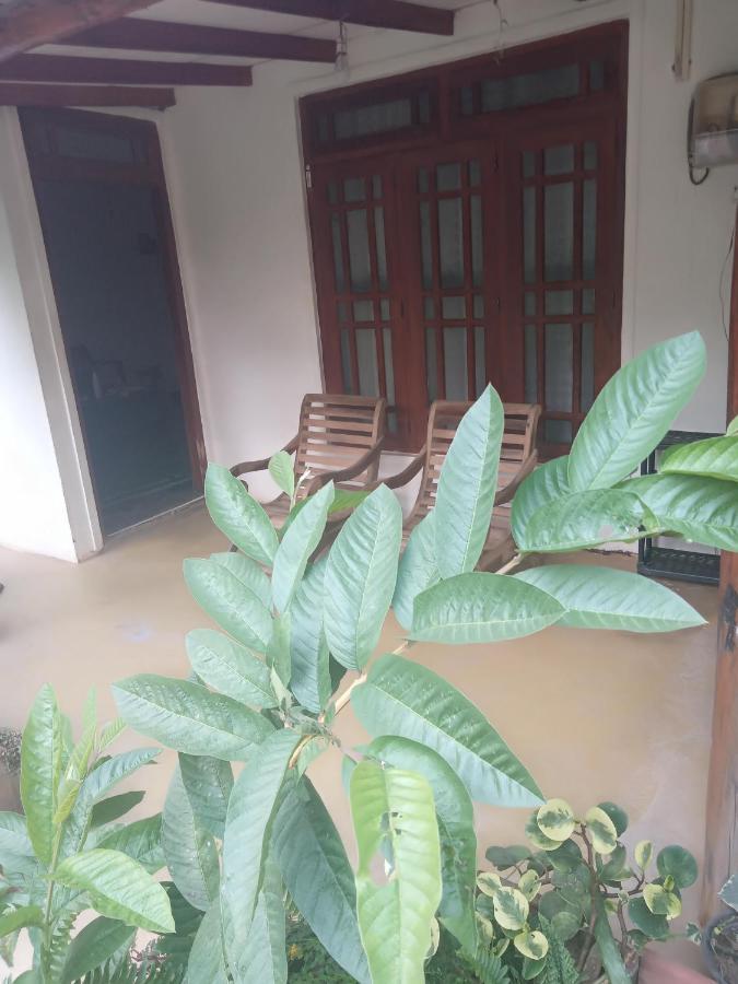 Supipi Homestay Ella Exteriér fotografie